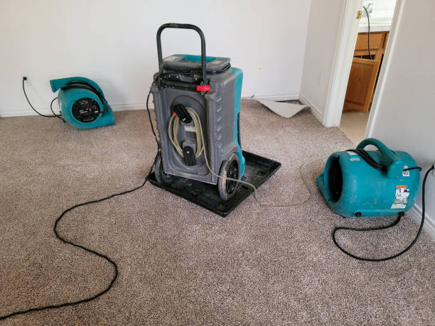 Best Water damage restoration near me  in Maiden, NC