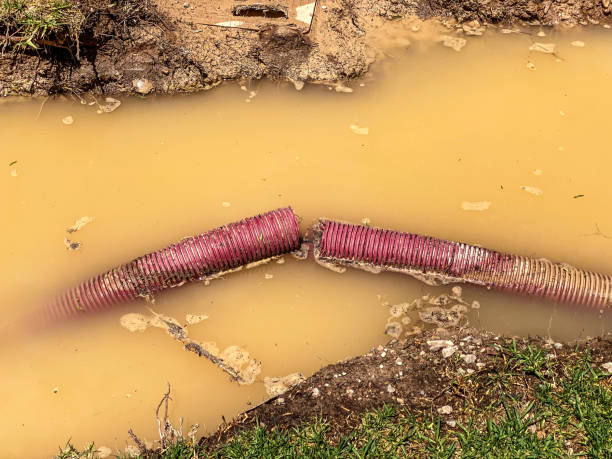 Best Water damage cleanup near me  in Maiden, NC