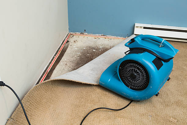 Best 24-hour water damage restoration  in Maiden, NC